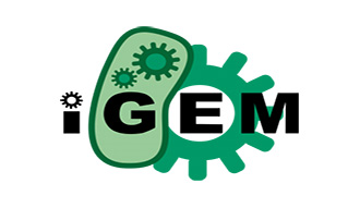 The iGem logo