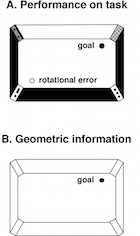 geometric module