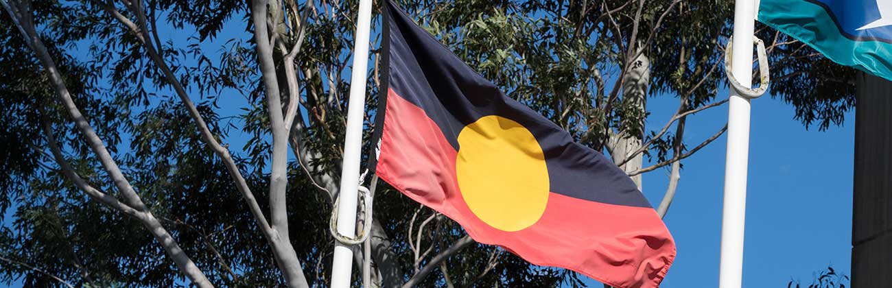 Aboriginal flag