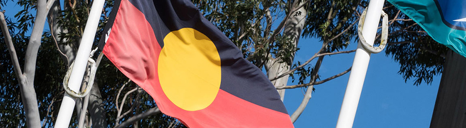 Aboriginal flag