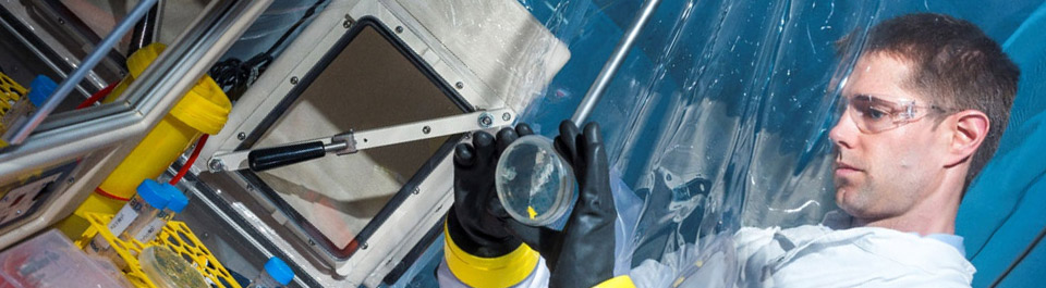 A researcher observing a petri dish in a lab.