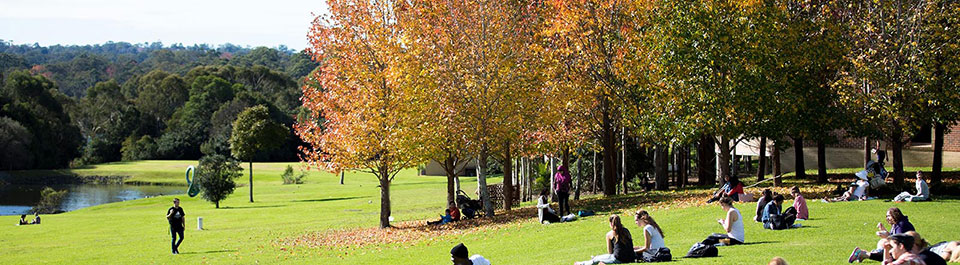 Students sitting on the grass within Macquarie University, with the lake in the distance