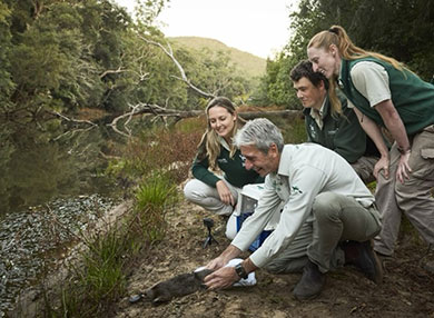 Dr Meagher and colleagues releasing a platypus back into the Royal National Park.