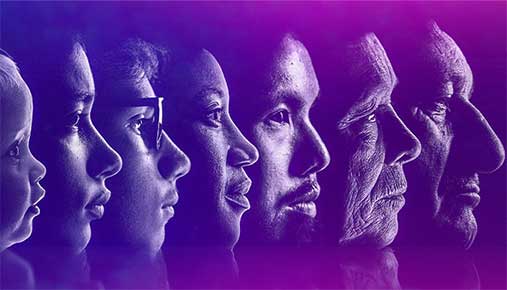 Seven heads depicting the different human ages from child to old