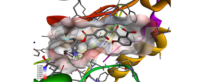 Stereospecific flourination of Balanol