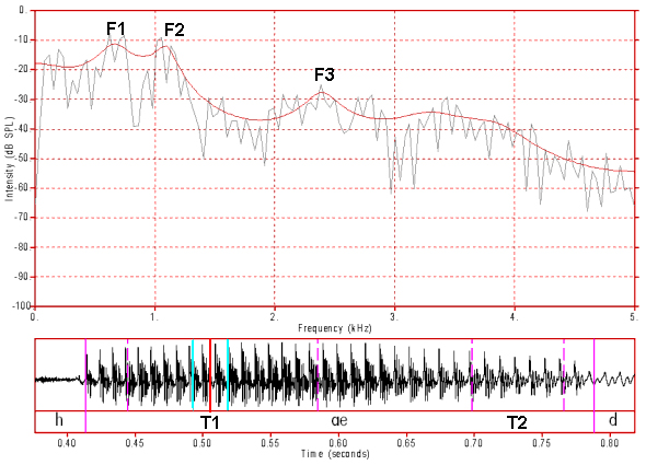 nat12_T1_fft