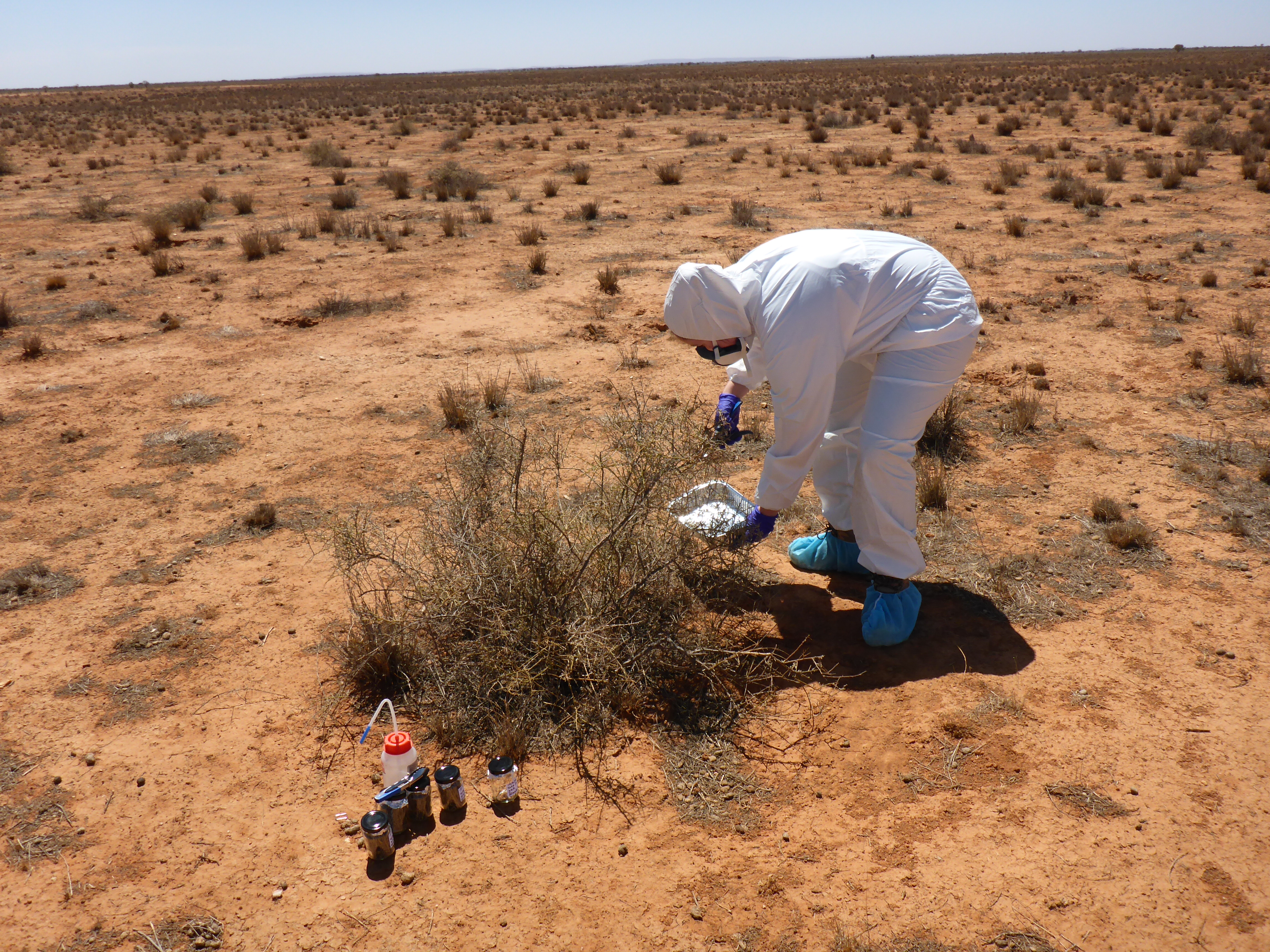 pesticide sampling