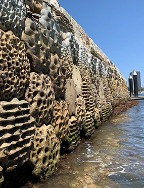 A marine wall