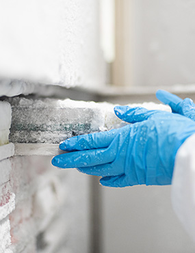 Close-up on a researcher's gloved hands, removing a specimen from frozen storage