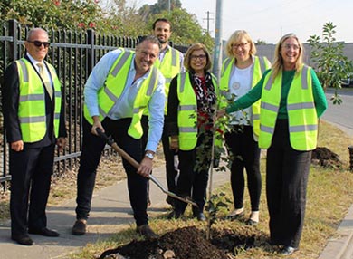 Six people in high-vis vests planting a tree by the side of a road.