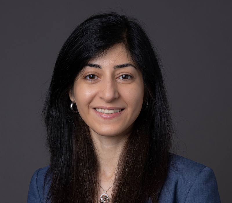 Associate Professor Fatemeh Salehi