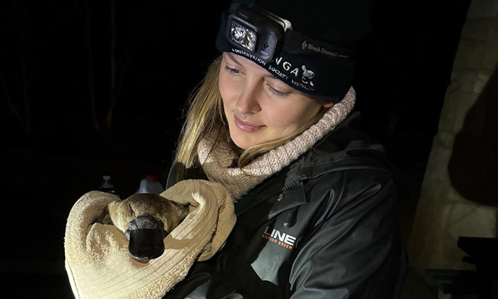 Dr Phoebe Meagher holding a platypus wrapped in a towel.