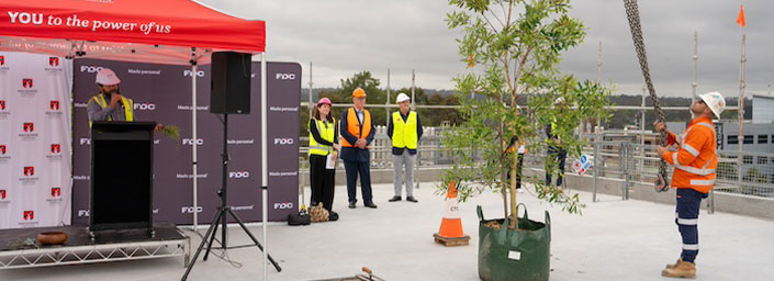 Kanooka (water gum) tree being craned onto the top of building with MQ staff watching in background and man presenting in front of lectern on right side
