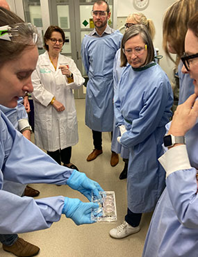 Macquarie cancer labs