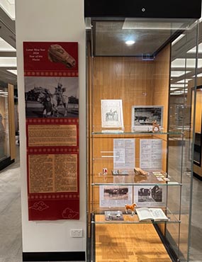 Image of gallery display shelf
