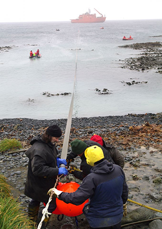 Bringing the refuelling hose ashore on Macquarie Island