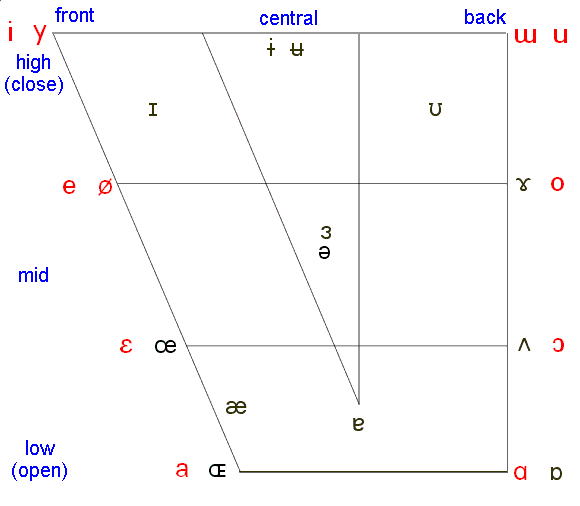 Macquarie University Ipa Vowel Symbols