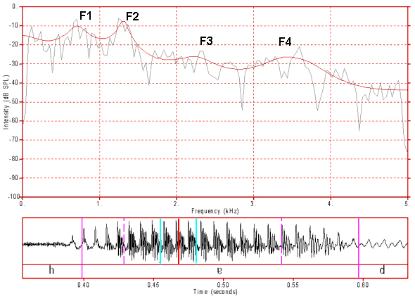 nat06_fft