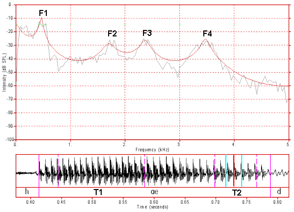 nat12_T2_fft