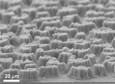A microscopic view of capillary forced-induced nanowelding