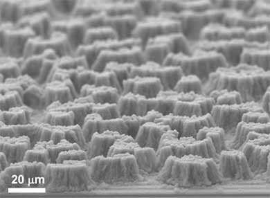 A microscopic view of capillary forced-induced nanowelding