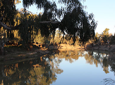 Barwon River