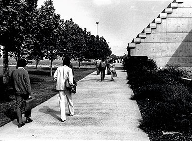 Students walking along Wally's Walk near the Lincoln Building.