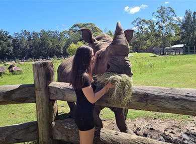 Dr Zara Bending with one of her favourite rhino, Jabari, at Mogo Zoo on the NSW South Coast.