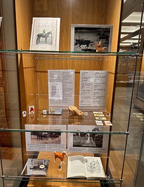 Image of gallery display shelf