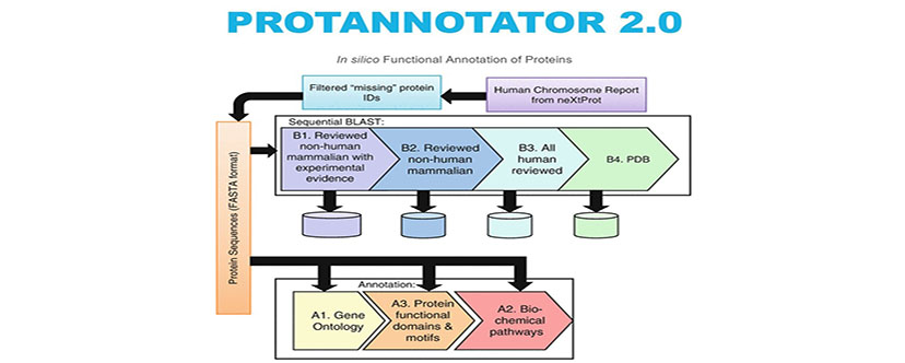 Protannotator 2.0