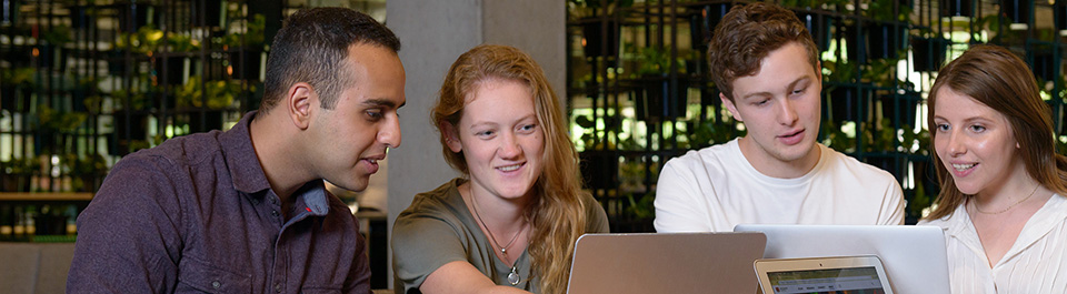 Students studying