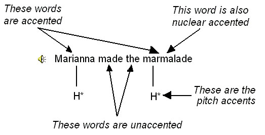 marm1