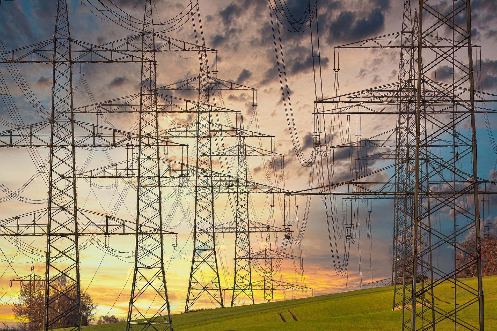 Electricity posts on landscape