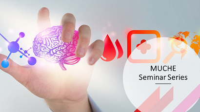 MUCHE Seminar Series - Combining risk adjustment with risk sharing in health plan systems