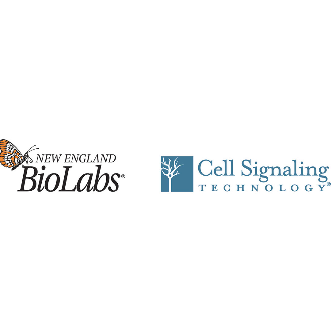 New England BioLabs and Cell Signalling Technology Logos