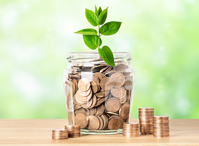 Money jar with plant growing from coins