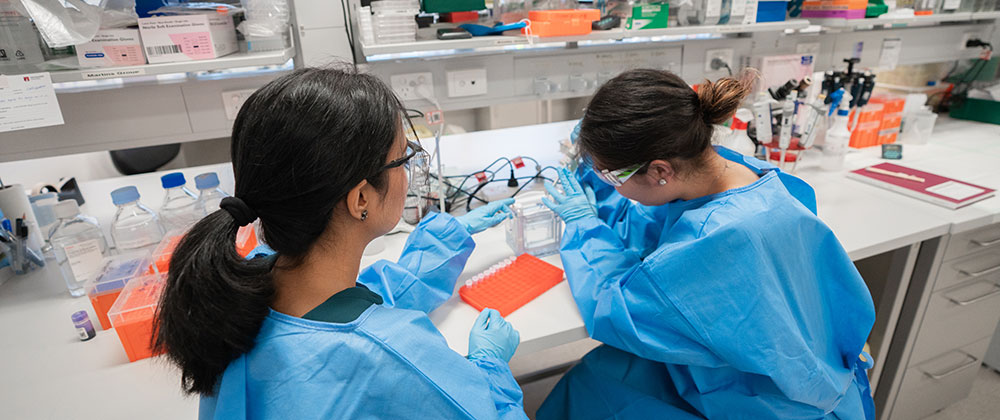 Two researchers working in the lab