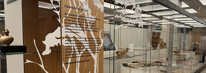 Museum exhibition display cases