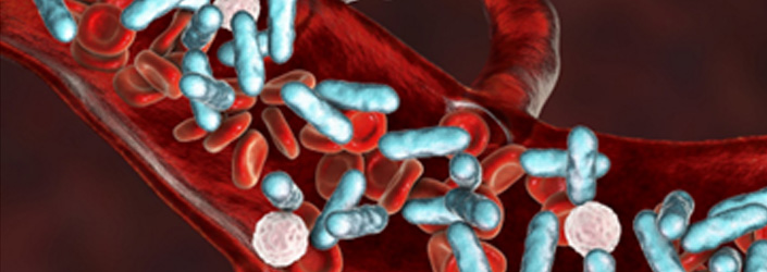 A digital graphic of blood cells.