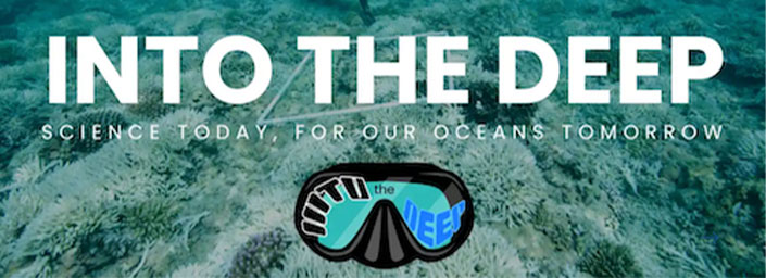 Photo of sea floor with big text and logo for into the deep