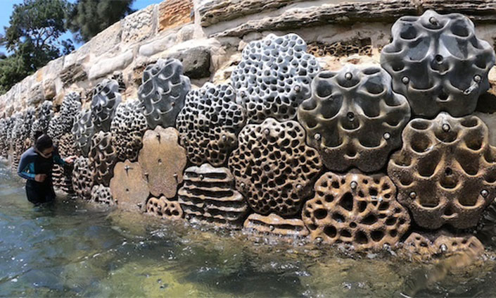 Artificial habitat made of fake coral attached to sea wall. Person in bottom right standing in water touching the fish pods or coral