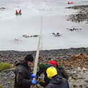 Bringing the refuelling hose ashore on Macquarie Island