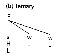 pt3_ternary