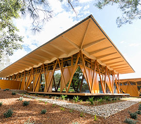 Pathway to net zero