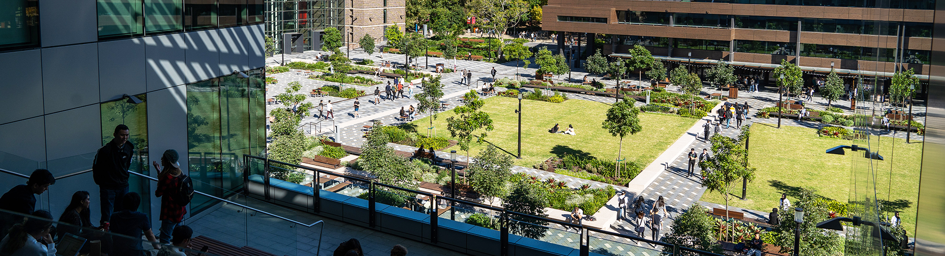 Looking down on the campus grounds from the Hub