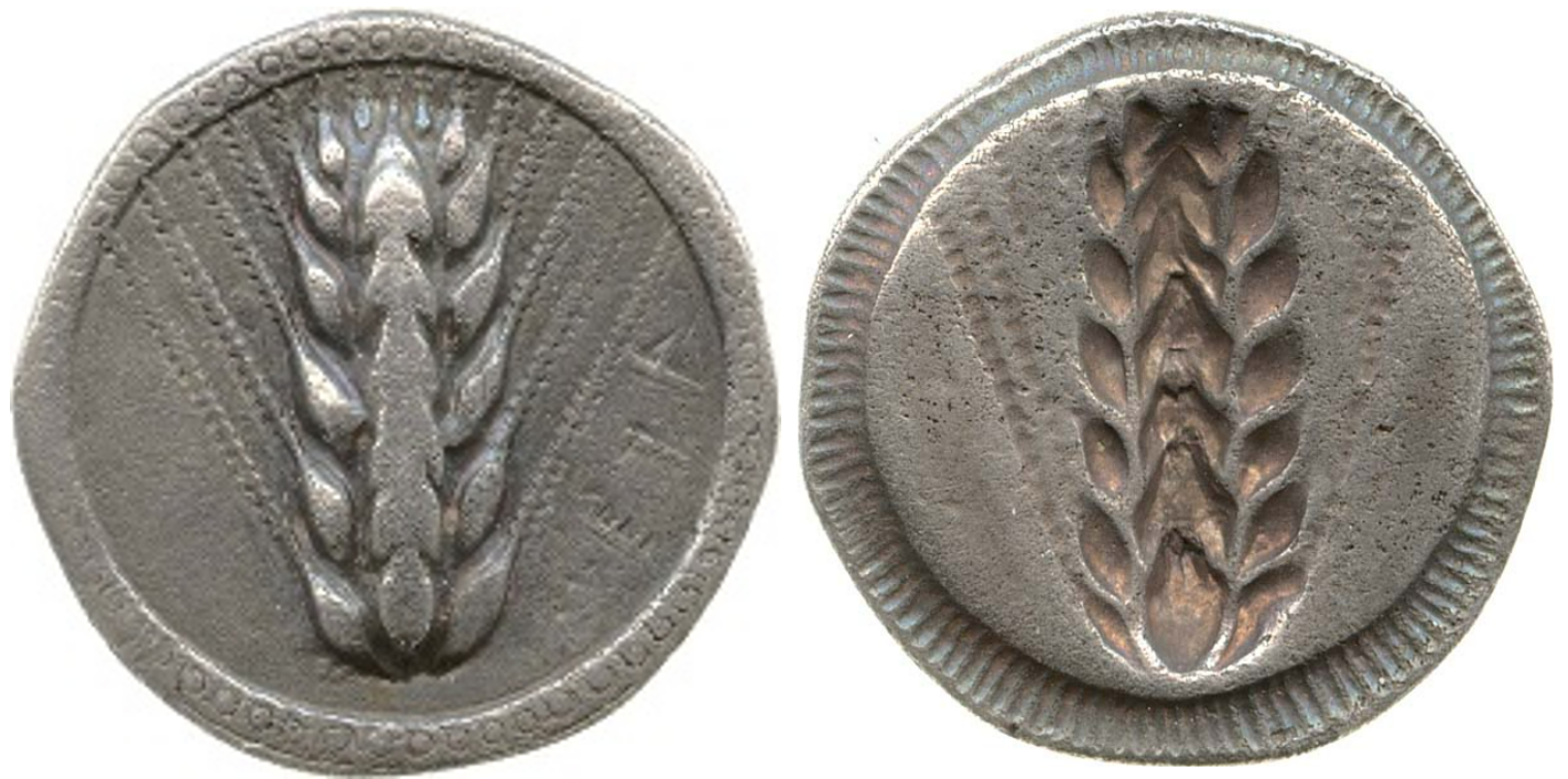 Incuse Metapontum stater 