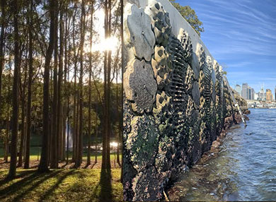 Combined image of a see wall, the water and city in the distance, and green trees