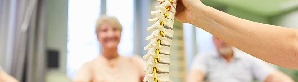 A person holding a replica spine, showing some patients