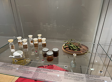 Exhibition display of medical artefacts