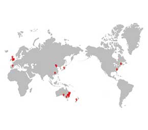 Our partners